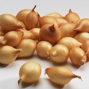 Sīksīpoli Sturon  0.5 kg Frakcija: 14/21  Holande